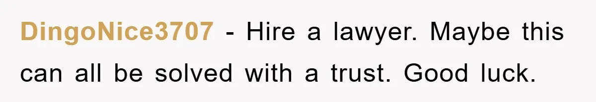DingoNice3707 − Hire a lawyer. Maybe this can all be solved with a trust. Good luck.