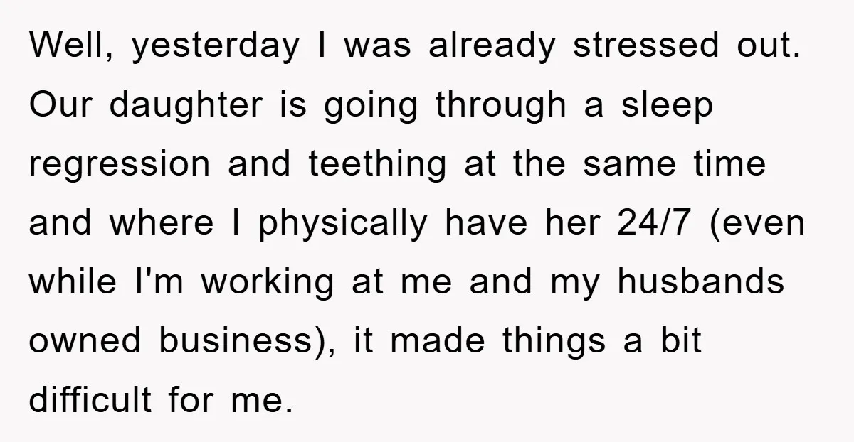 Well, yesterday I was already stressed out. Our daughter is going through a sleep regression and teething at the same time and where I physically have her 24/7 (even while...