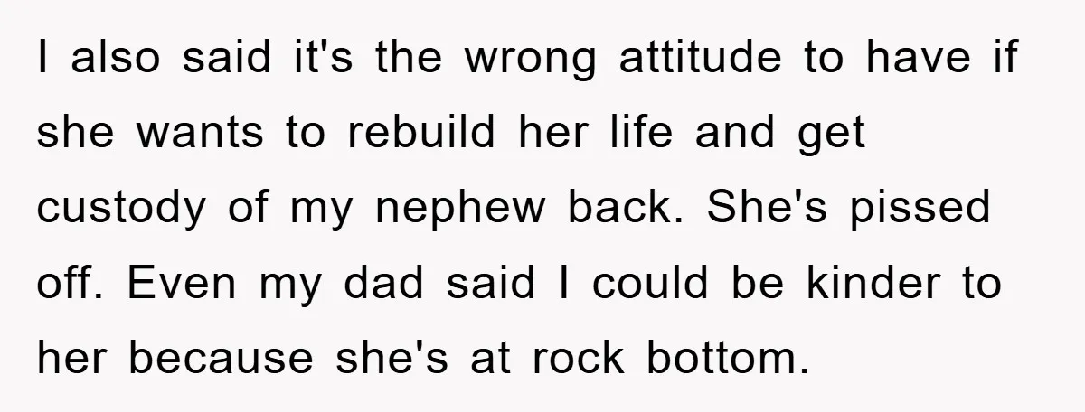I also said it's the wrong attitude to have if she wants to rebuild her life and get custody of my nephew back. She's pissed off. Even my dad said...