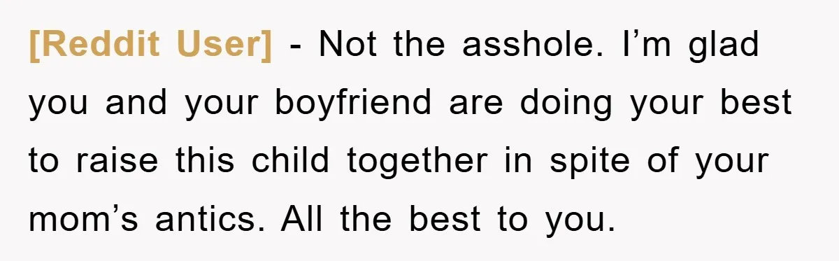 [Reddit User] - Not the asshole. I’m glad you and your boyfriend are doing your best to raise this child together in spite of your mom’s antics. All the best...