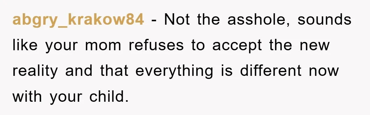 abgry_krakow84 - Not the asshole, sounds like your mom refuses to accept the new reality and that everything is different now with your child.