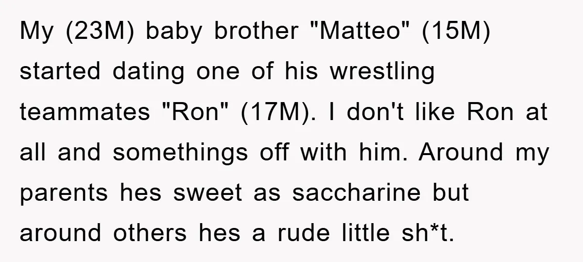 My (23M) baby brother "Matteo" (15M) started dating one of his wrestling teammates "Ron" (17M). I don't like Ron at all and somethings off with him. Around my parents hes...