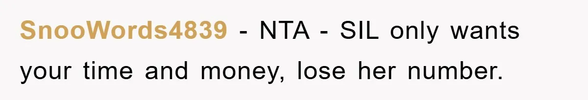 SnooWords4839 − NTA - SIL only wants your time and money, lose her number.