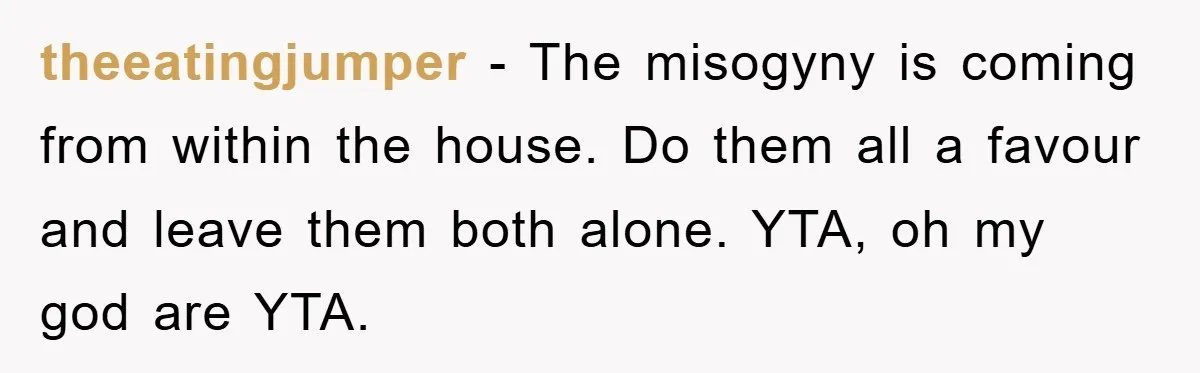 theeatingjumper − The misogyny is coming from within the house. Do them all a favour and leave them both alone. YTA, oh my god are YTA.
