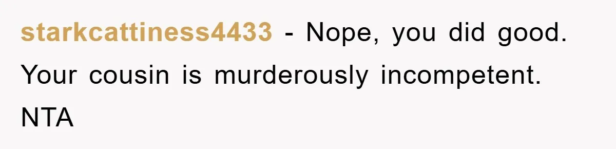starkcattiness4433 − Nope, you did good. Your cousin is murderously incompetent. NTA