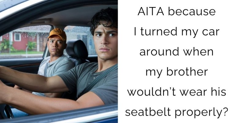 AITA because I turned my car around when my brother wouldn’t wear his seatbelt properly?