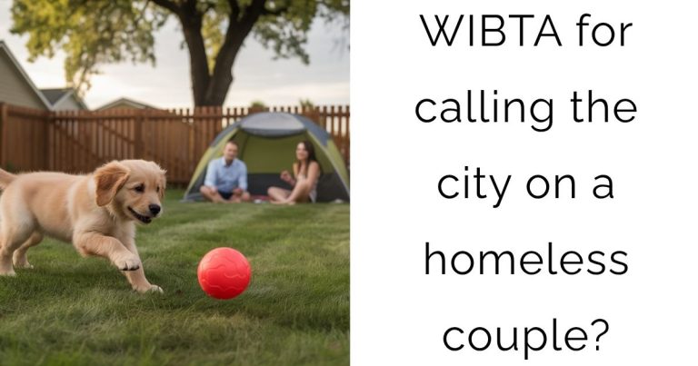 WIBTA for calling the city on a homeless couple?