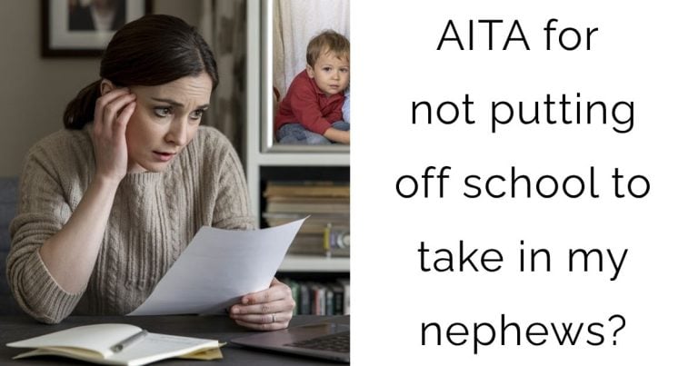 AITA for not putting off school to take in my nephews?
