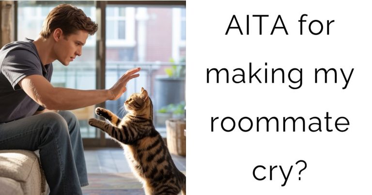 AITA for making my roommate cry?