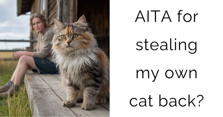AITA for stealing my own cat back?