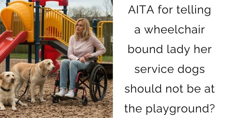 AITA for telling a wheelchair bound lady her service dogs should not be at the playground?