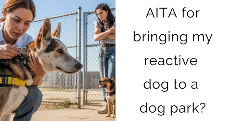 AITA for bringing my reactive dog to a dog park?