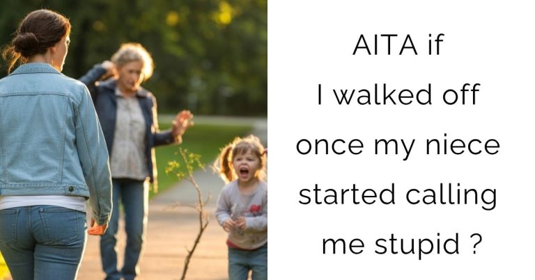 AITA if I walked off once my niece started calling me stupid?