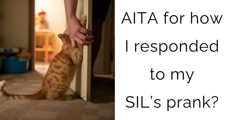 AITA for how I responded to my SIL’s prank?