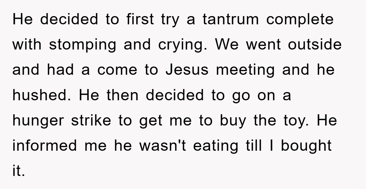 He decided to first try a tantrum complete with stomping and crying. We went outside and had a come to Jesus meeting and he hushed. He then decided to go...