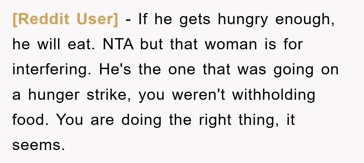 [Reddit User] − If he gets hungry enough, he will eat. NTA but that woman is for interfering. He's the one that was going on a hunger strike, you weren't...
