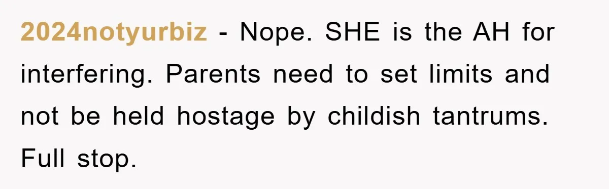 2024notyurbiz − Nope. SHE is the AH for interfering. Parents need to set limits and not be held hostage by childish tantrums. Full stop.