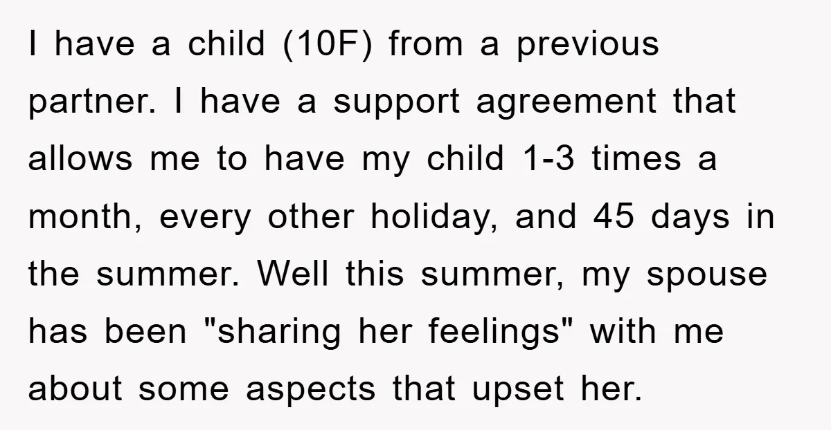 I have a child (10F) from a previous partner. I have a support agreement that allows me to have my child 1-3 times a month, every other holiday, and 45...