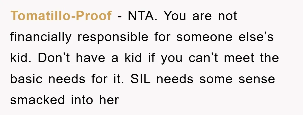 Tomatillo-Proof − NTA. You are not financially responsible for someone else’s kid. Don’t have a kid if you can’t meet the basic needs for it. SIL needs some sense smacked...