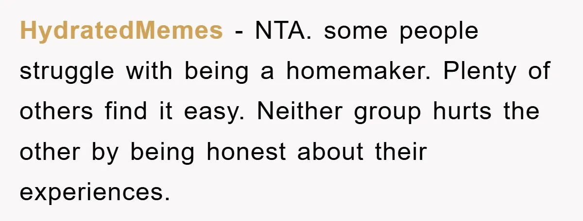 HydratedMemes − NTA. some people struggle with being a homemaker. Plenty of others find it easy. Neither group hurts the other by being honest about their experiences.