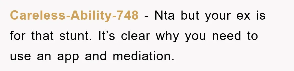 Careless-Ability-748 - Nta but your ex is for that stunt. It’s clear why you need to use an app and mediation.