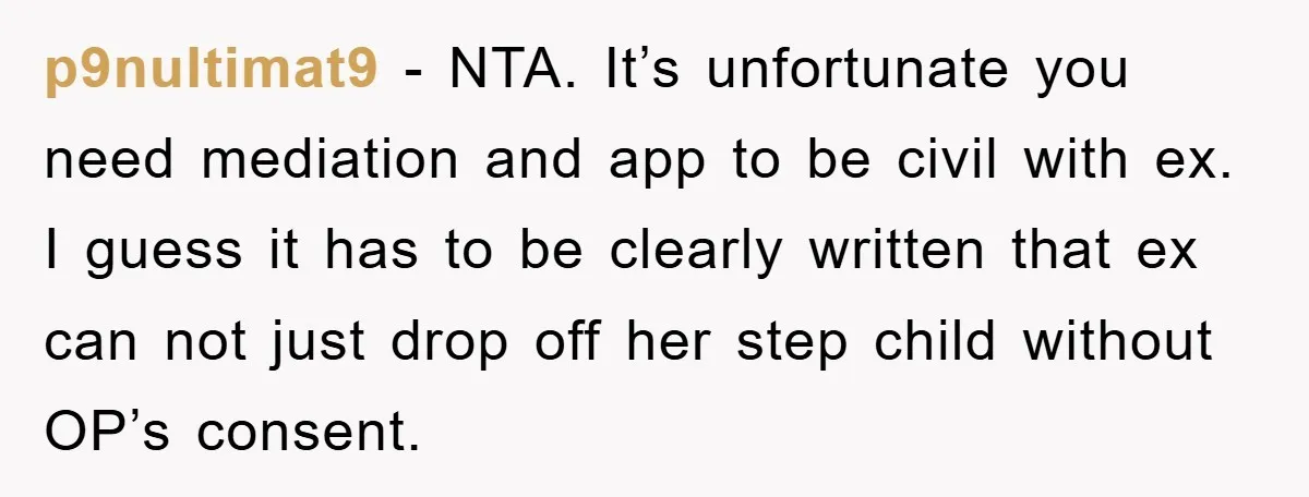 p9nultimat9 - NTA. It’s unfortunate you need mediation and app to be civil with ex. I guess it has to be clearly written that ex can not just drop off...