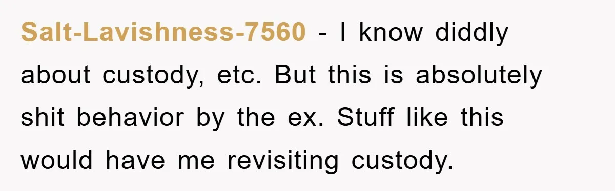 Salt-Lavishness-7560 - I know diddly about custody, etc. But this is absolutely shit behavior by the ex. Stuff like this would have me revisiting custody.