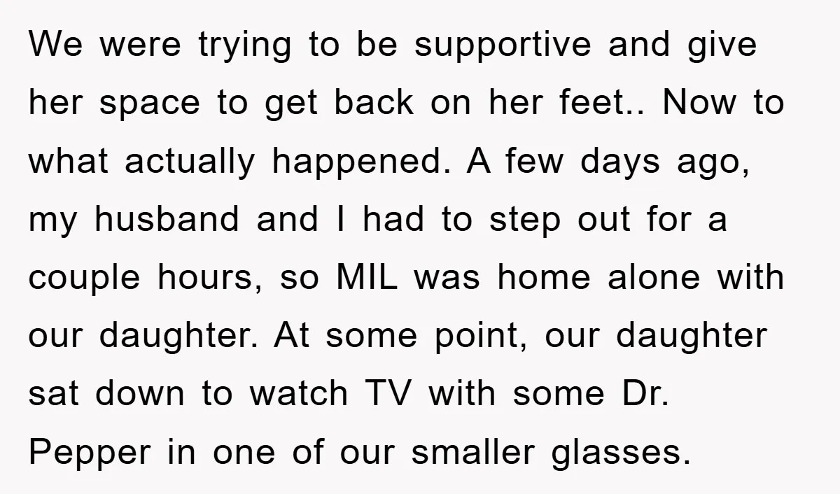 We were trying to be supportive and give her space to get back on her feet.. Now to what actually happened. A few days ago, my husband and I had...