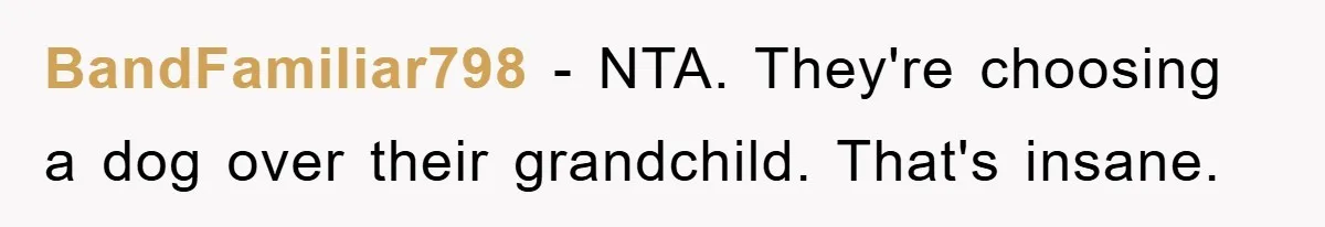 BandFamiliar798 − NTA. They're choosing a dog over their grandchild. That's insane.