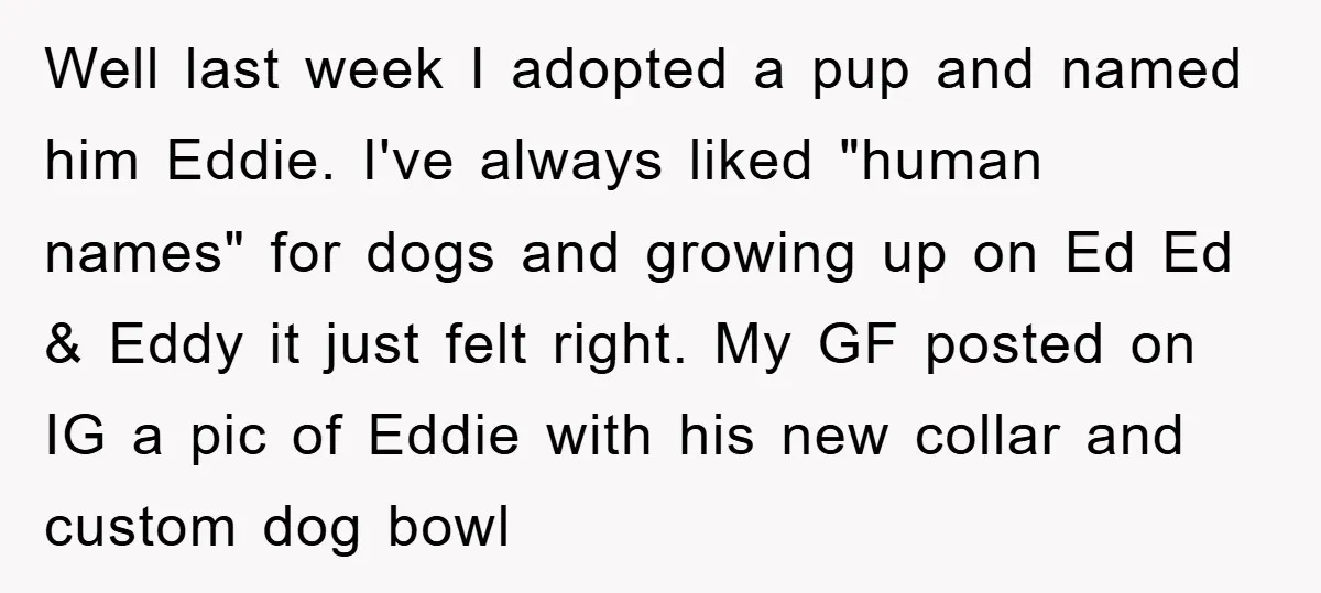 Well last week I adopted a pup and named him Eddie. I've always liked "human names" for dogs and growing up on Ed Ed & Eddy it just felt right....