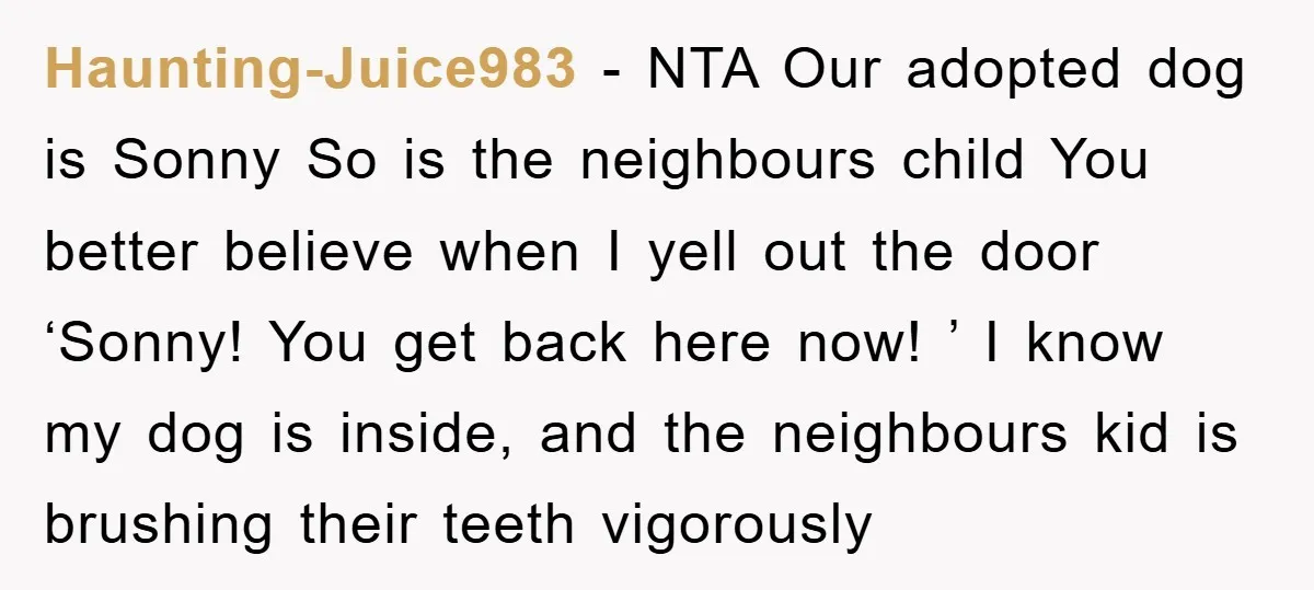 Haunting-Juice983 − NTA Our adopted dog is Sonny So is the neighbours child You better believe when I yell out the door ‘Sonny! You get back here now! ’ I...