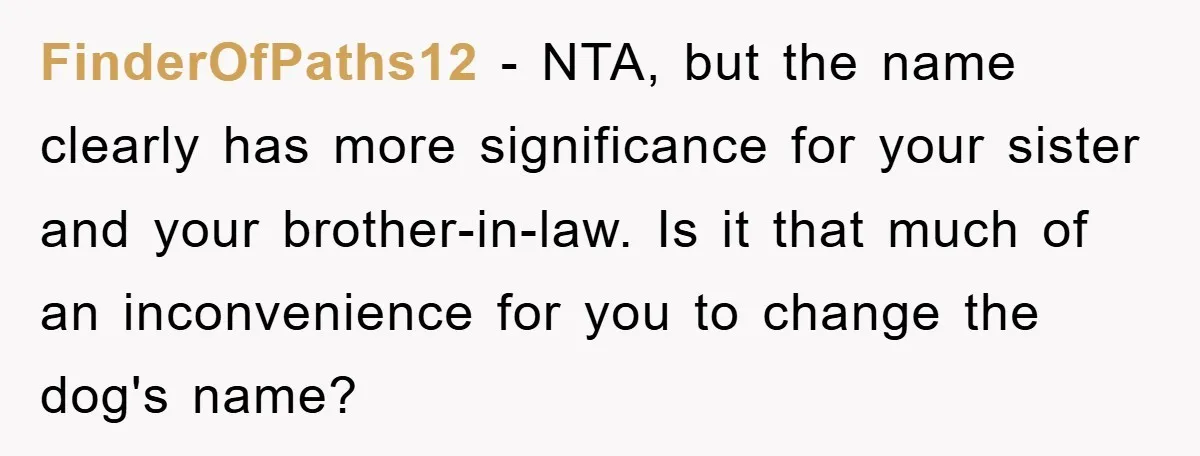 FinderOfPaths12 − NTA, but the name clearly has more significance for your sister and your brother-in-law. Is it that much of an inconvenience for you to change the dog's name?