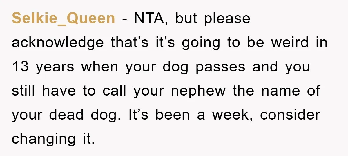 Selkie_Queen − NTA, but please acknowledge that’s it’s going to be weird in 13 years when your dog passes and you still have to call your nephew the name of...