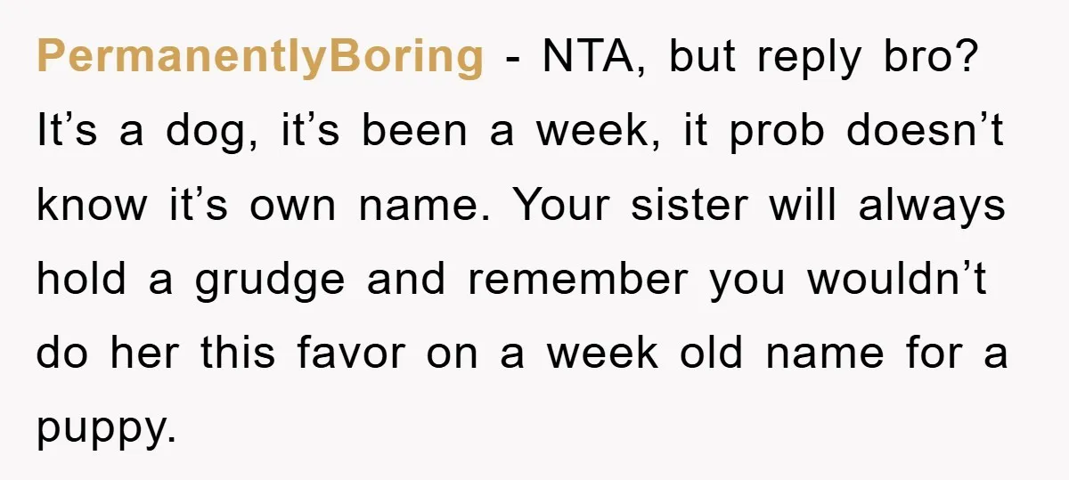 PermanentlyBoring − NTA, but reply bro? It’s a dog, it’s been a week, it prob doesn’t know it’s own name. Your sister will always hold a grudge and remember you...