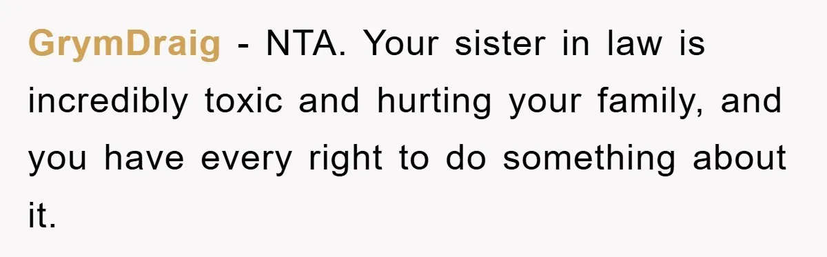 GrymDraig − NTA. Your sister in law is incredibly toxic and hurting your family, and you have every right to do something about it.