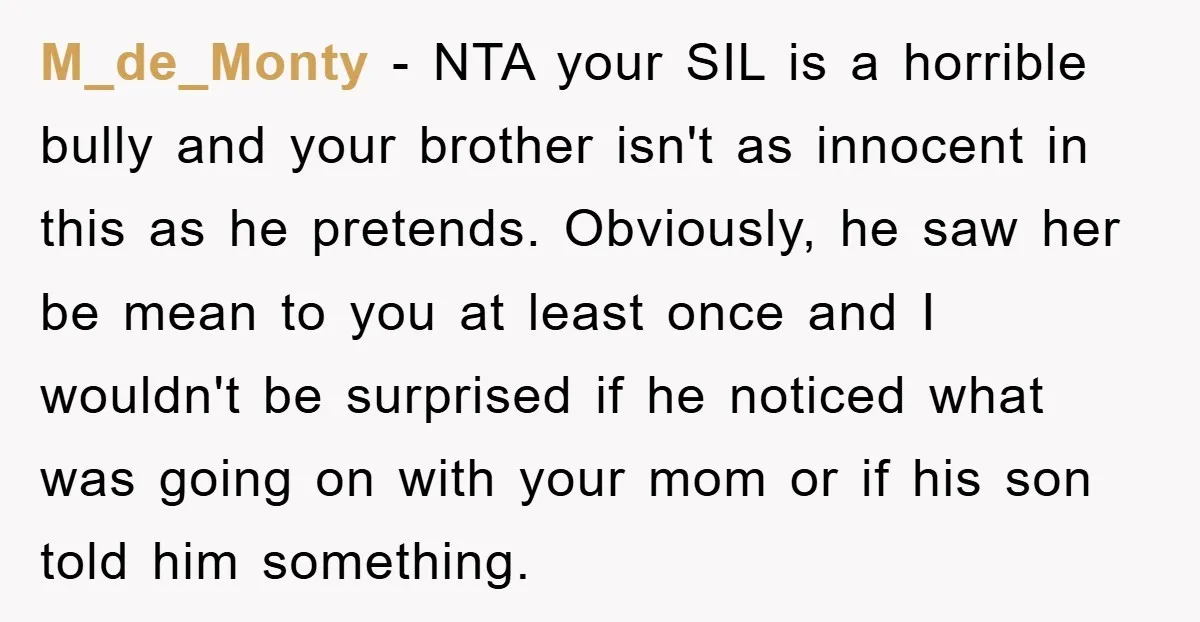 M_de_Monty − NTA your SIL is a horrible bully and your brother isn't as innocent in this as he pretends. Obviously, he saw her be mean to you at least...