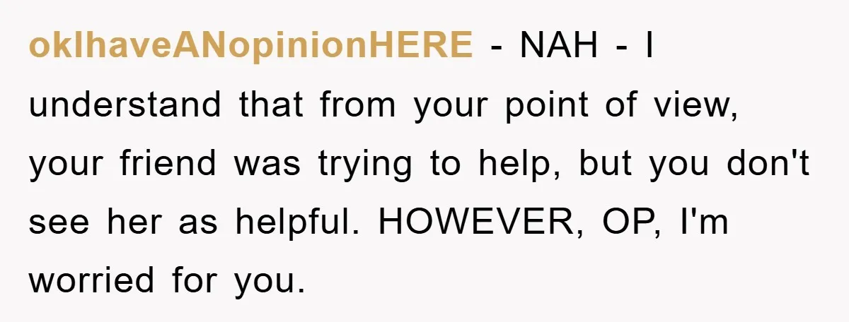 okIhaveANopinionHERE − NAH - I understand that from your point of view, your friend was trying to help, but you don't see her as helpful. HOWEVER, OP, I'm worried for...