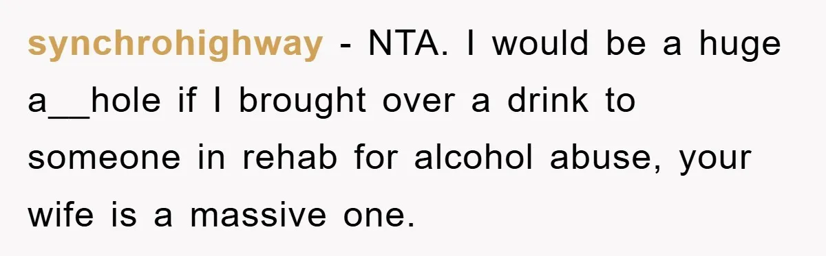 synchrohighway − NTA. I would be a huge a__hole if I brought over a drink to someone in rehab for alcohol abuse, your wife is a massive one.