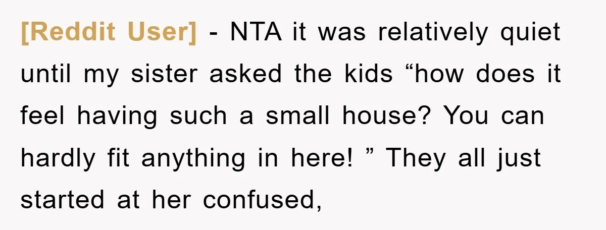 [Reddit User] − NTA it was relatively quiet until my sister asked the kids “how does it feel having such a small house? You can hardly fit anything in here!...