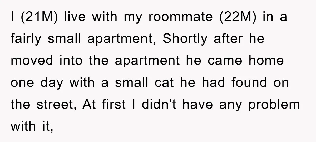 I (21M) live with my roommate (22M) in a fairly small apartment, Shortly after he moved into the apartment he came home one day with a small cat he had...
