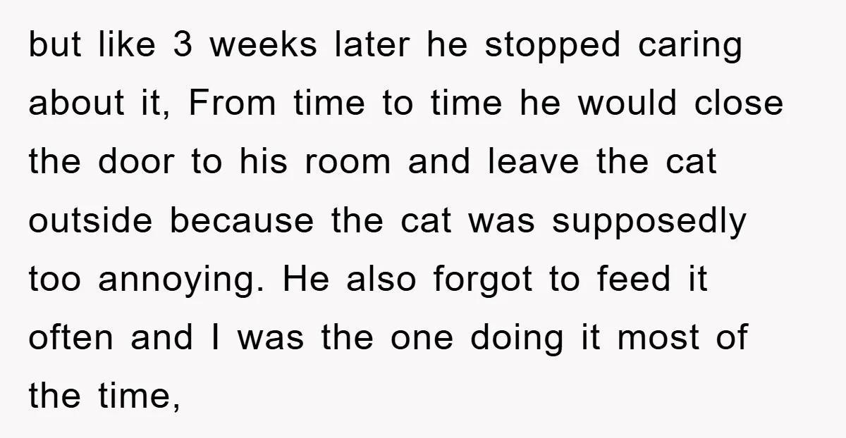 but like 3 weeks later he stopped caring about it, From time to time he would close the door to his room and leave the cat outside because the cat...