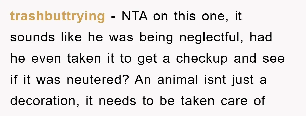 trashbuttrying − NTA on this one, it sounds like he was being neglectful, had he even taken it to get a checkup and see if it was neutered? An animal...