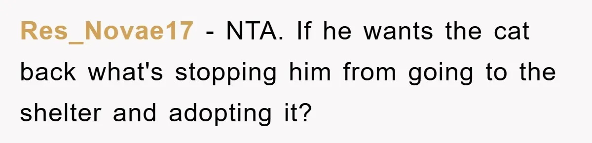 Res_Novae17 − NTA. If he wants the cat back what's stopping him from going to the shelter and adopting it?
