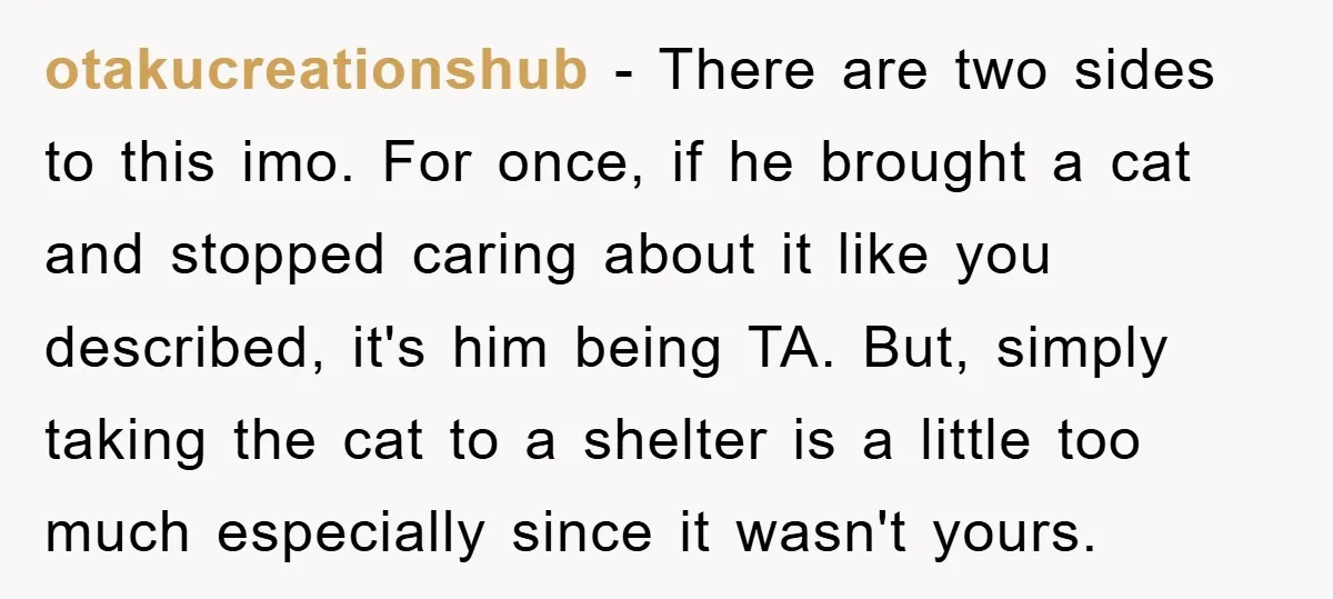 otakucreationshub − There are two sides to this imo. For once, if he brought a cat and stopped caring about it like you described, it's him being TA. But, simply...