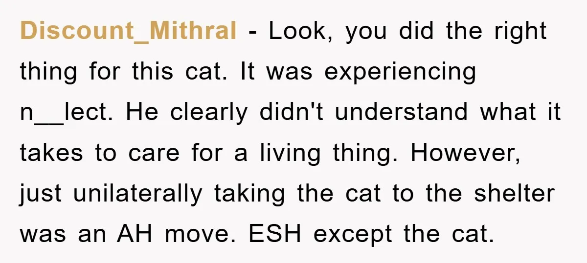 Discount_Mithral − Look, you did the right thing for this cat. It was experiencing n__lect. He clearly didn't understand what it takes to care for a living thing. However, just...