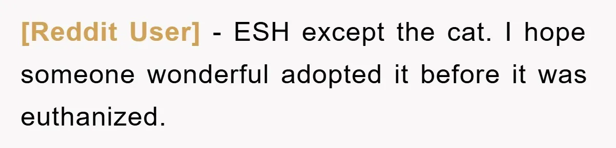 [Reddit User] − ESH except the cat. I hope someone wonderful adopted it before it was euthanized.