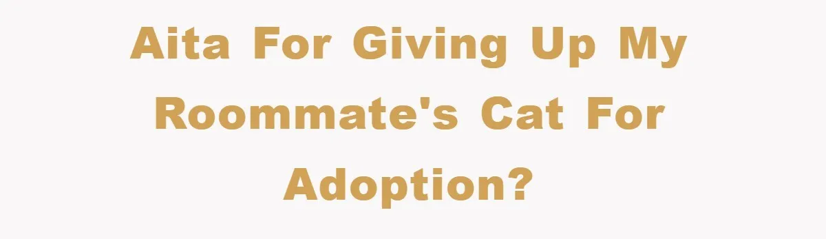 AITA For giving up my roommate's cat for adoption?