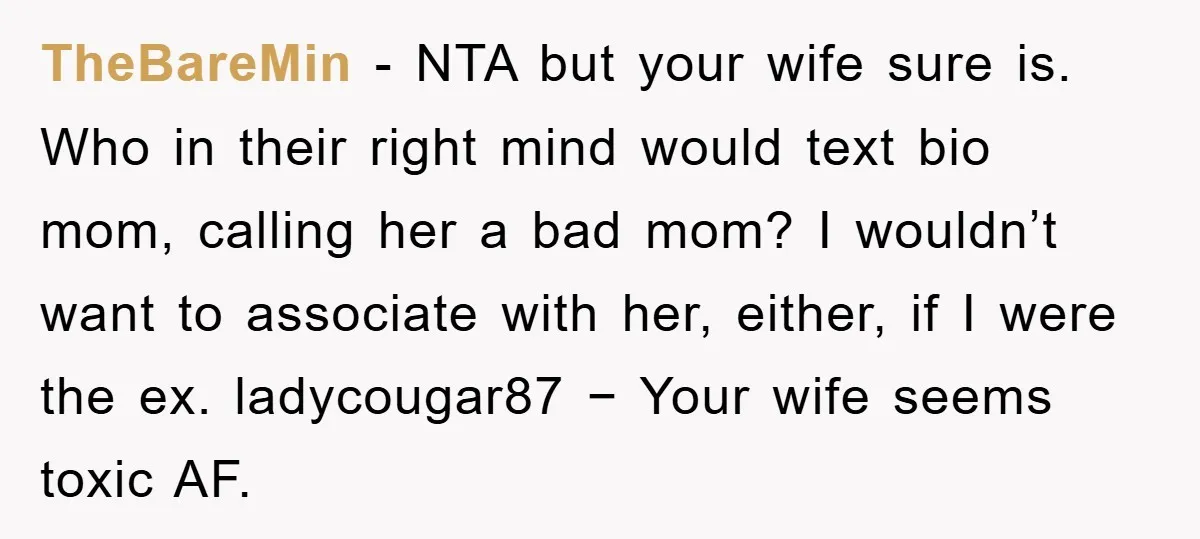 TheBareMin − NTA but your wife sure is. Who in their right mind would text bio mom, calling her a bad mom? I wouldn’t want to associate with her, either,...