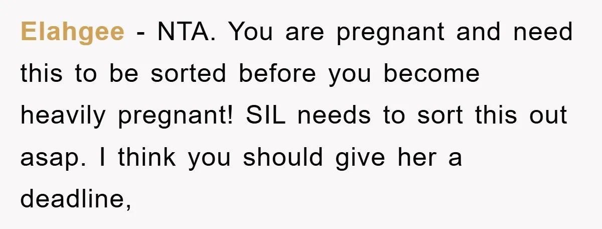 Elahgee - NTA. You are pregnant and need this to be sorted before you become heavily pregnant! SIL needs to sort this out asap. I think you should give her...