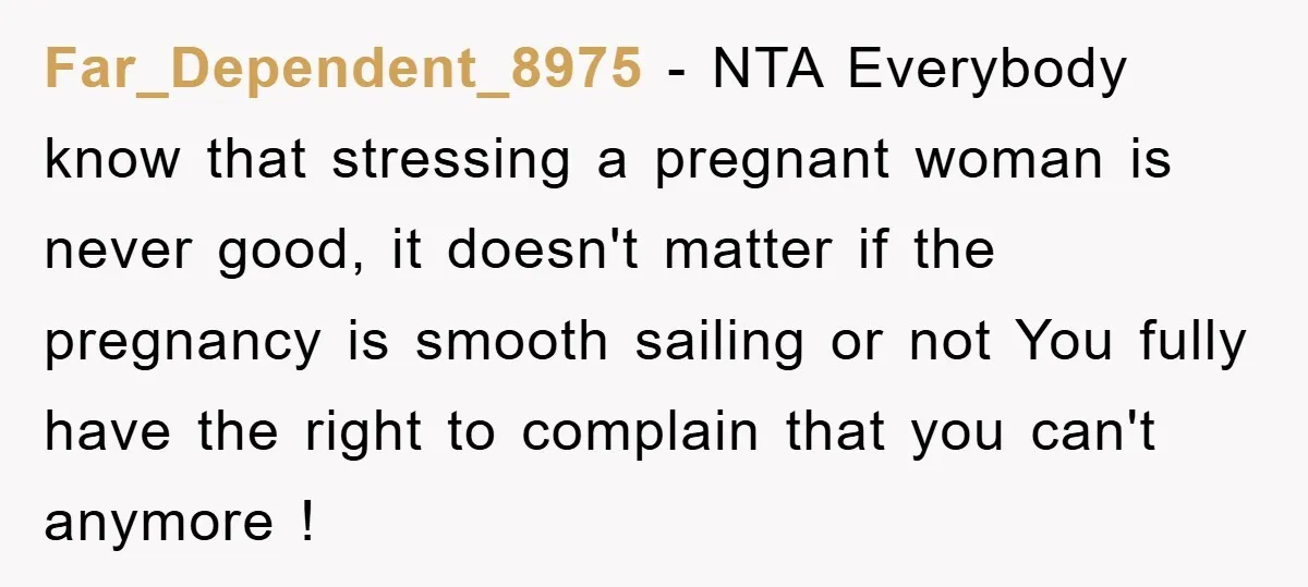 Far_Dependent_8975 - NTA Everybody know that stressing a pregnant woman is never good, it doesn't matter if the pregnancy is smooth sailing or not You fully have the right to...